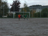 FV Pink Panthers - SG Grodrebnitz