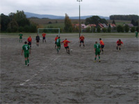 FV Pink Panthers - SG Grodrebnitz