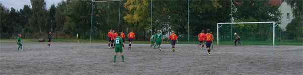 FV Pink Panthers Bischofswerda - SG Großdrebnitz