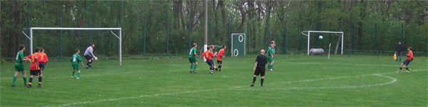 SG Grodrebnitz - FV Pink Panthers Bischofswerda