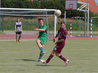 Steina - SGG